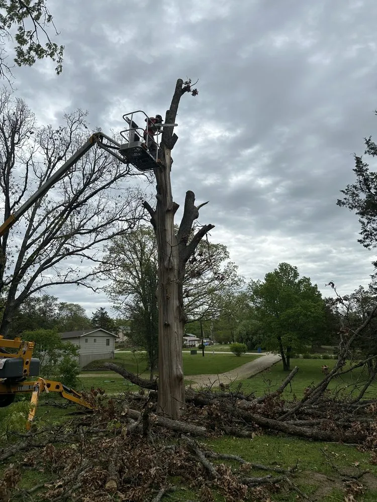 Professional outdoor landscaping in Bloomsdale, MO by Dustins Lawn and Tree Service
