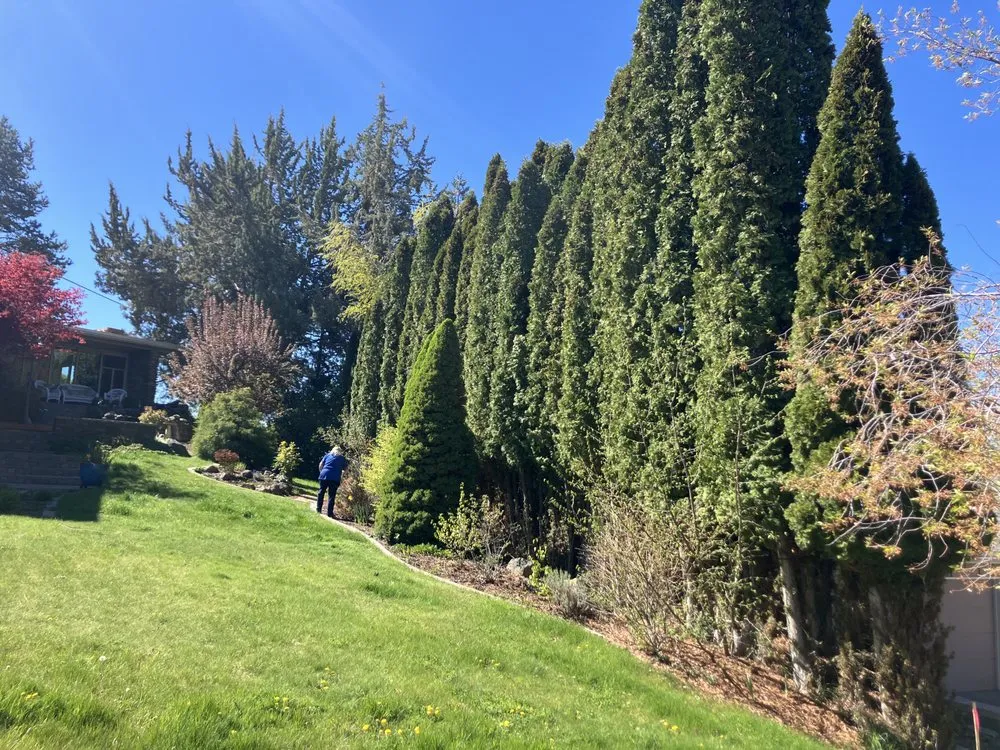 Custom lawn mowing service for residential properties in Klamath Falls, OR by Dusty & Brandons Pressure Washing Landscaping And More