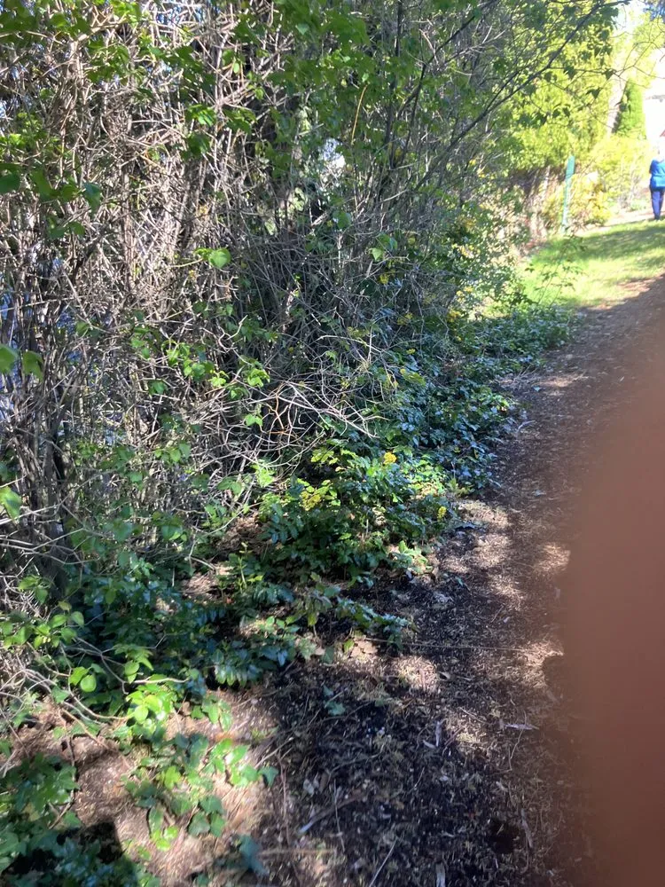 Reliable garden landscaping in Klamath Falls, OR by Dusty & Brandons Pressure Washing Landscaping And More