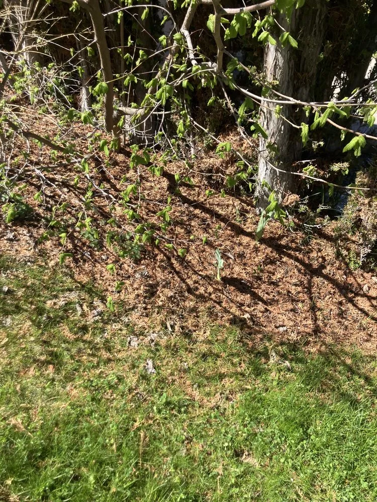 Trusted landscape design for year-round maintenance across Klamath Falls, OR - Dusty & Brandons Pressure Washing Landscaping And More