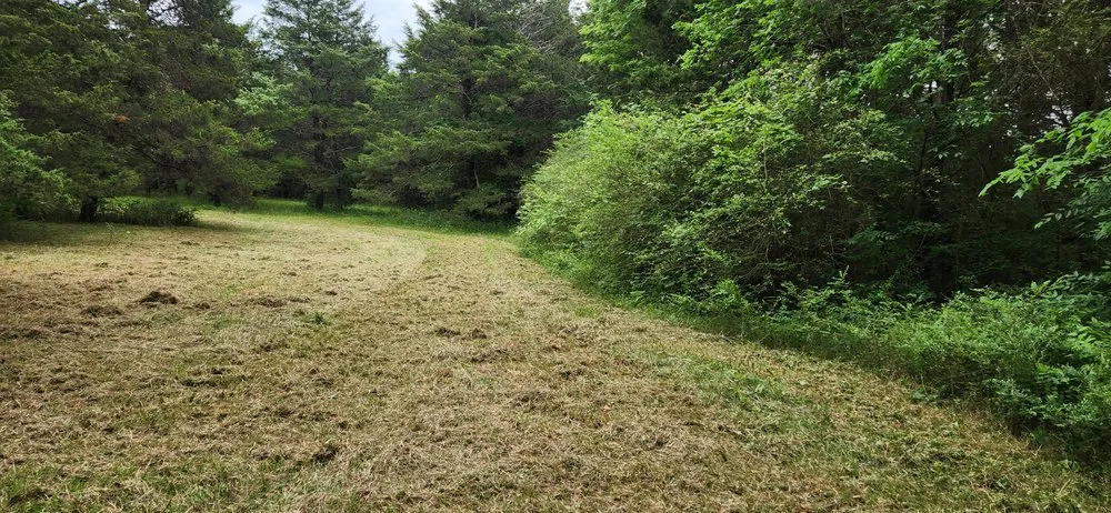 Professional yard maintenance in Savoy, TX by Dusty Boots Land Services