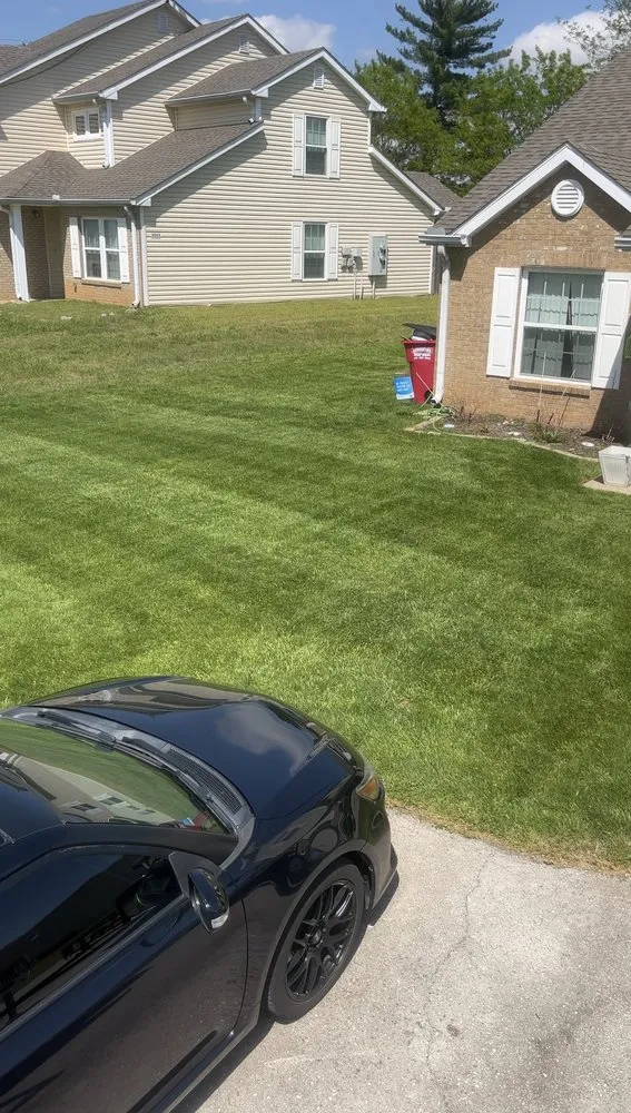 Local yard cleanup service for homes in Fort Campbell, KY by Dusty Bushwhackers