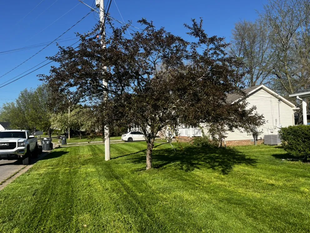Reliable garden landscaping experts serving Fort Campbell, KY - Dusty Bushwhackers