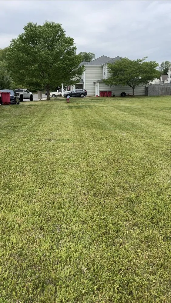 Affordable yard cleanup service for outdoor upgrades across Fort Campbell, KY - Dusty Bushwhackers