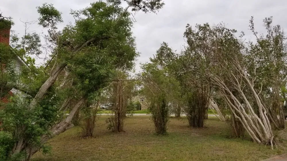 Trusted lawn care service for residential properties in Victoria, TX by Dusty Truck Landscaping