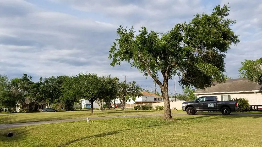 Local yard cleanup service in Victoria, TX by Dusty Truck Landscaping
