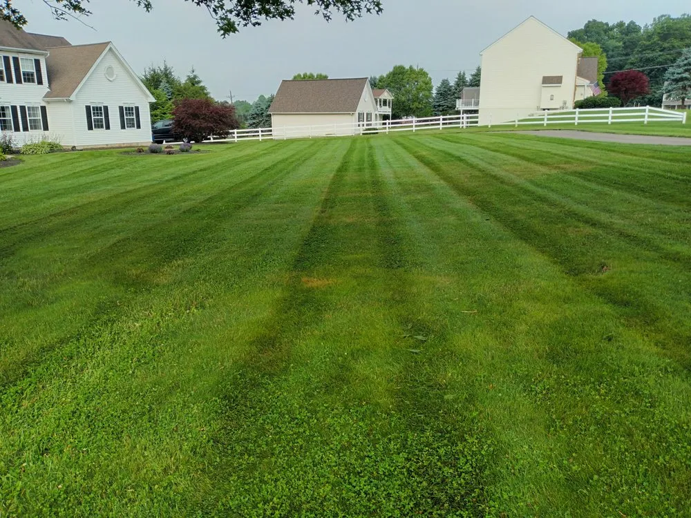 Affordable lawn mowing service for beautiful yards across Nottingham, PA - Dusty's Do It All