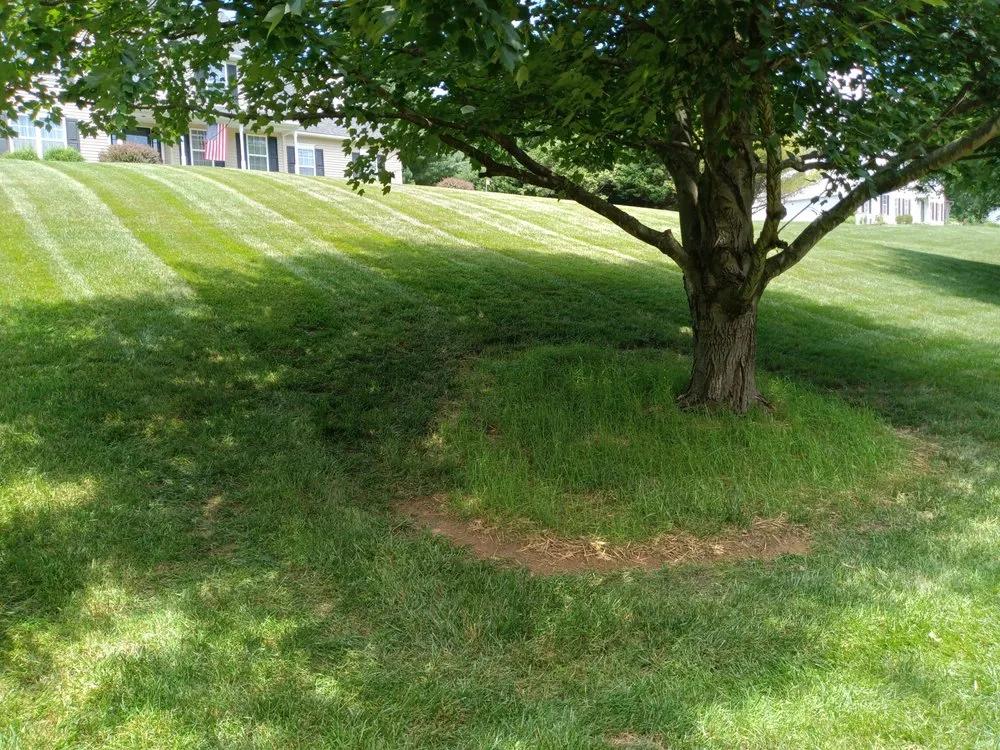 Professional lawn care service in Nottingham, PA - Dusty's Do It All