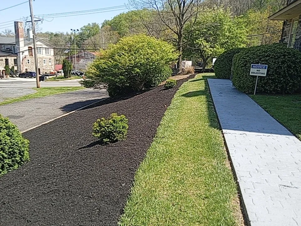 Reliable yard cleanup service for year-round maintenance in Nottingham, PA by Dusty's Do It All