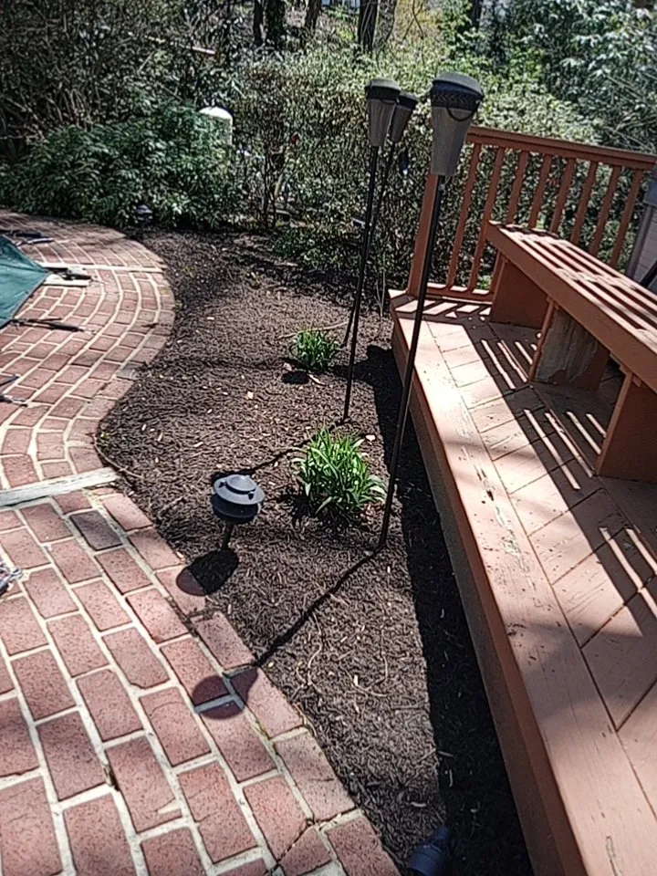 Affordable lawn care service for beautiful yards in Nottingham, PA by Dusty's Do It All