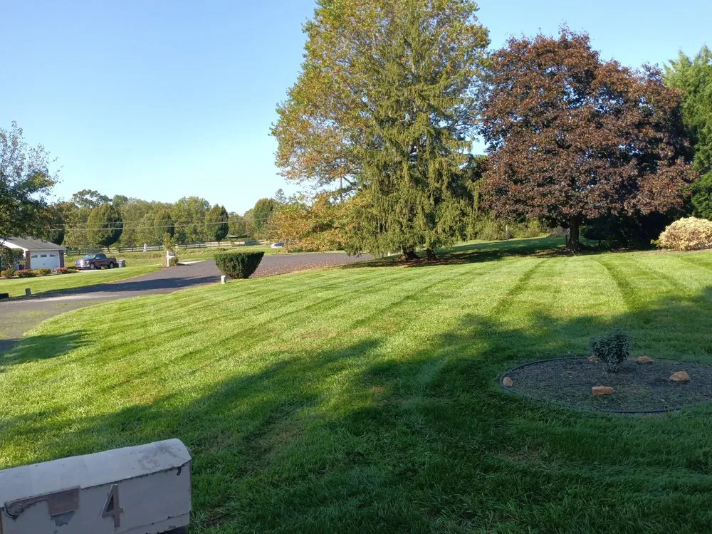 Local yard cleanup service for residential properties across Nottingham, PA - Dusty's Do It All