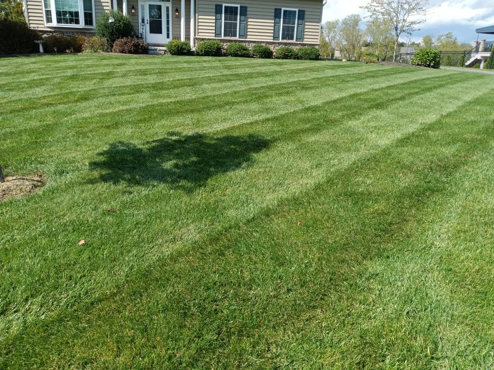 Affordable outdoor landscaping near you in Nottingham, PA by Dusty's Do It All