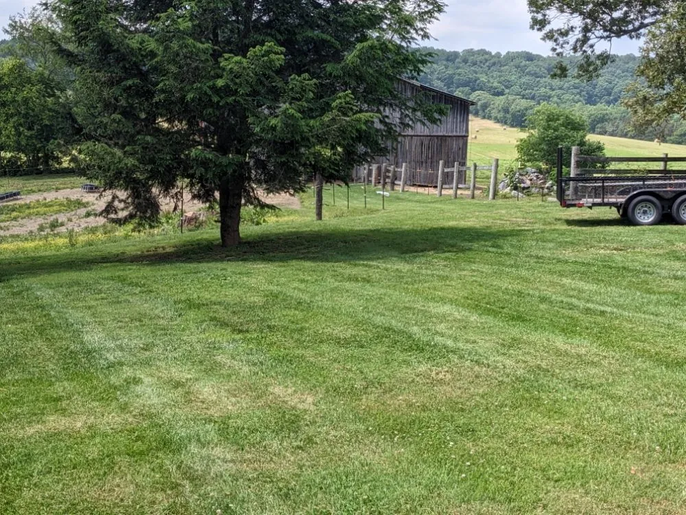 Expert lawn mowing service experts serving Telford, TN - Dusty's Lawncare