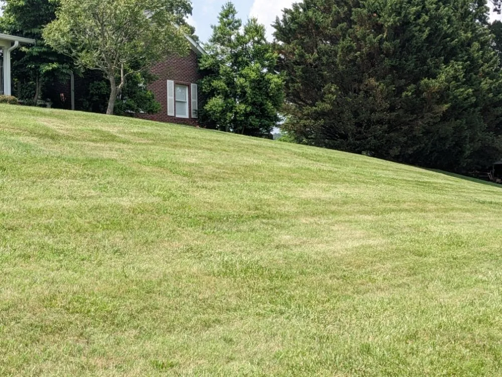 Top-rated landscape design for year-round maintenance in Telford, TN by Dusty's Lawncare