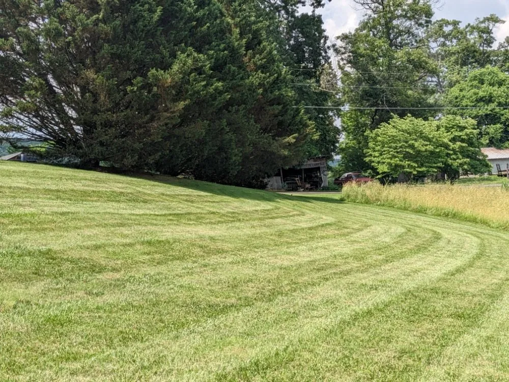 Expert lawn mowing service experts serving Telford, TN - Dusty's Lawncare