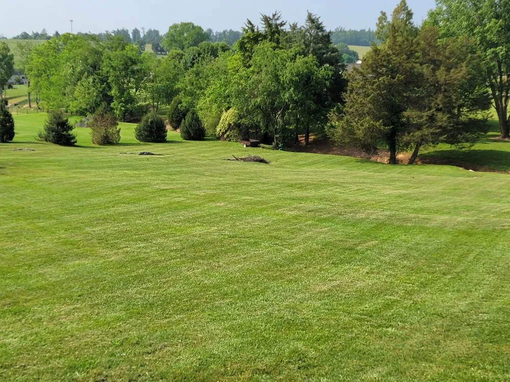 Professional landscaping services experts serving Telford, TN - Dusty's Lawncare