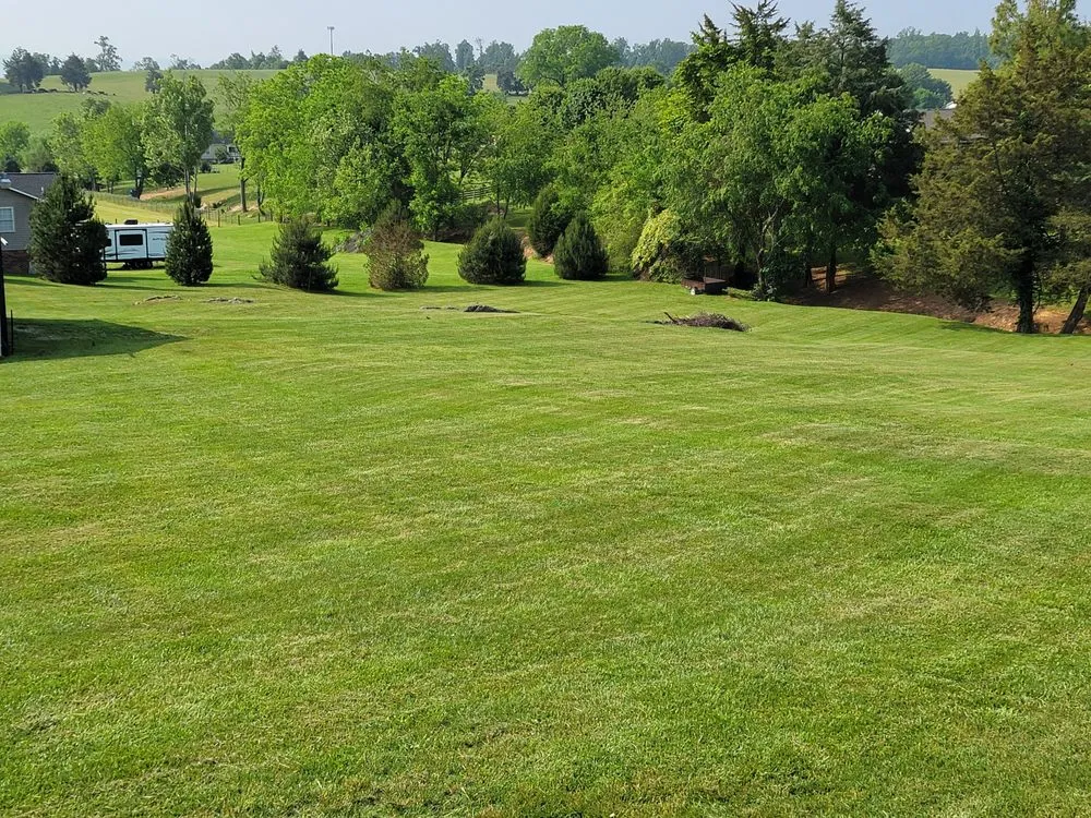 Top-rated lawn care service for homes across Telford, TN - Dusty's Lawncare