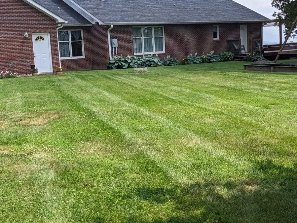 Professional landscaping services in Telford, TN by Dusty's Lawncare