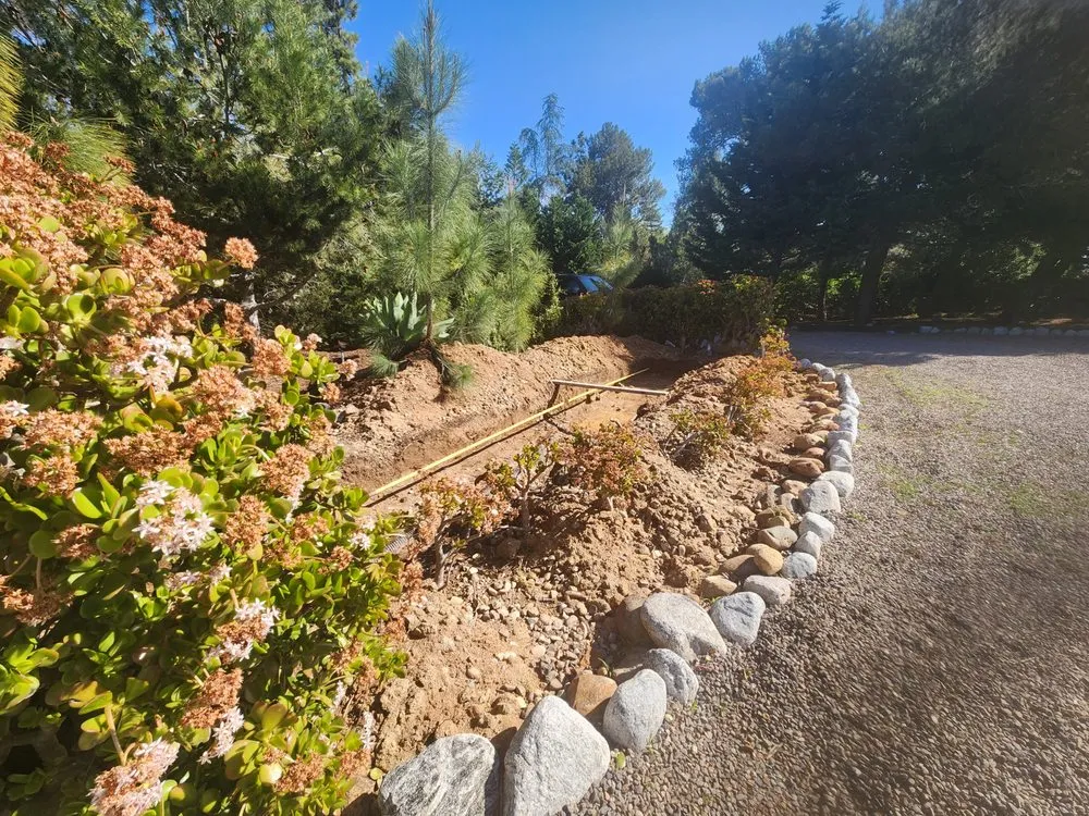 Expert lawn care service in Oceanside, CA by Dutch Drain