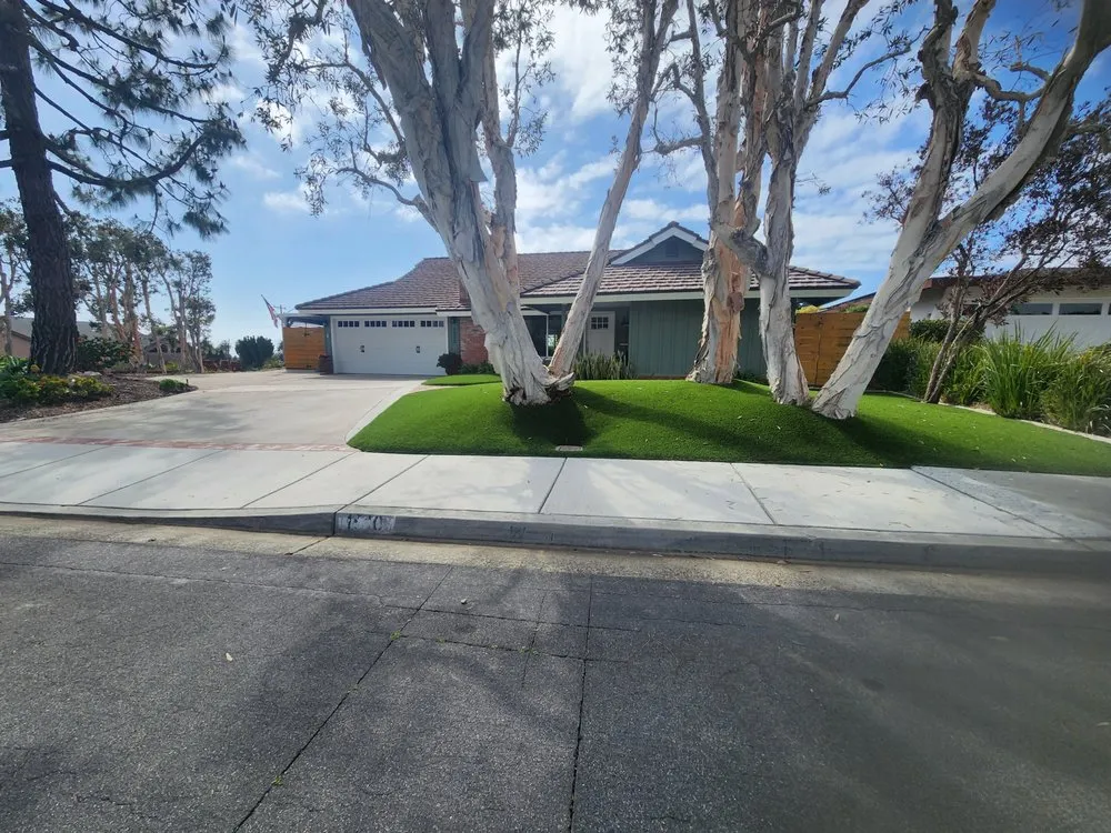 Trusted yard cleanup service in Oceanside, CA - Dutch Drain