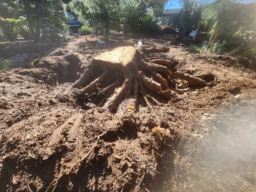 Expert yard maintenance in Oceanside, CA by Dutch Drain