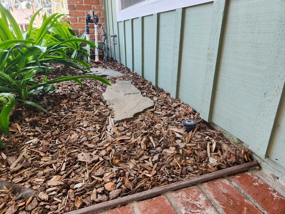 Expert lawn care service experts serving Oceanside, CA - Dutch Drain