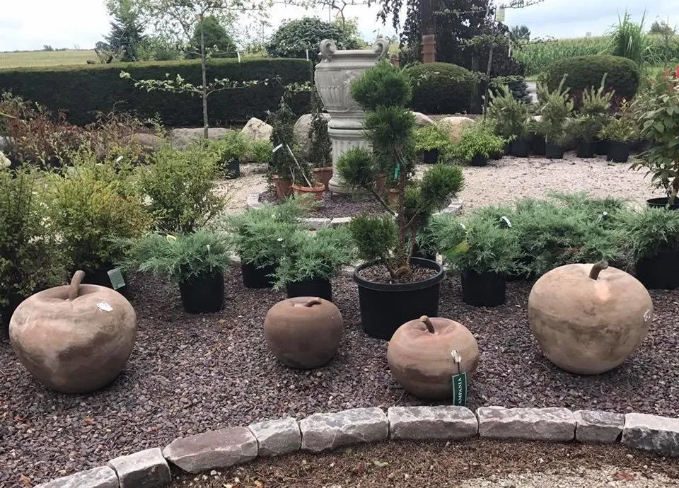 Custom yard cleanup service for outdoor upgrades in Metamora, IL by Dutch Landscaping