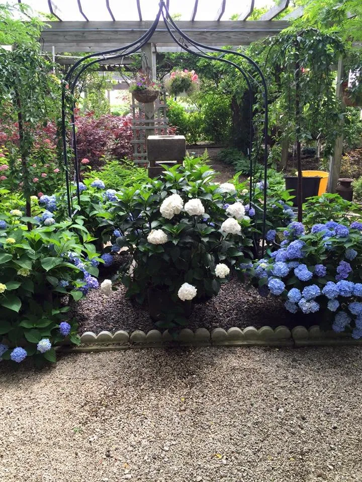 Expert yard cleanup service in Metamora, IL by Dutch Landscaping