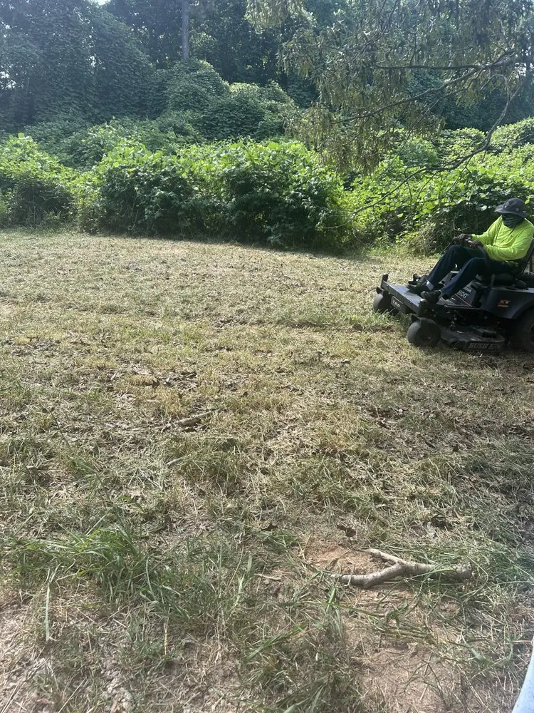 Custom landscaping services with custom design in Lawrenceville, GA by Dutch Lawn Care