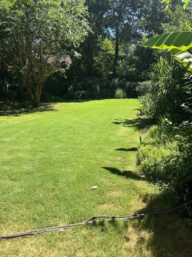 Expert yard maintenance for homes across Lawrenceville, GA - Dutch Lawn Care