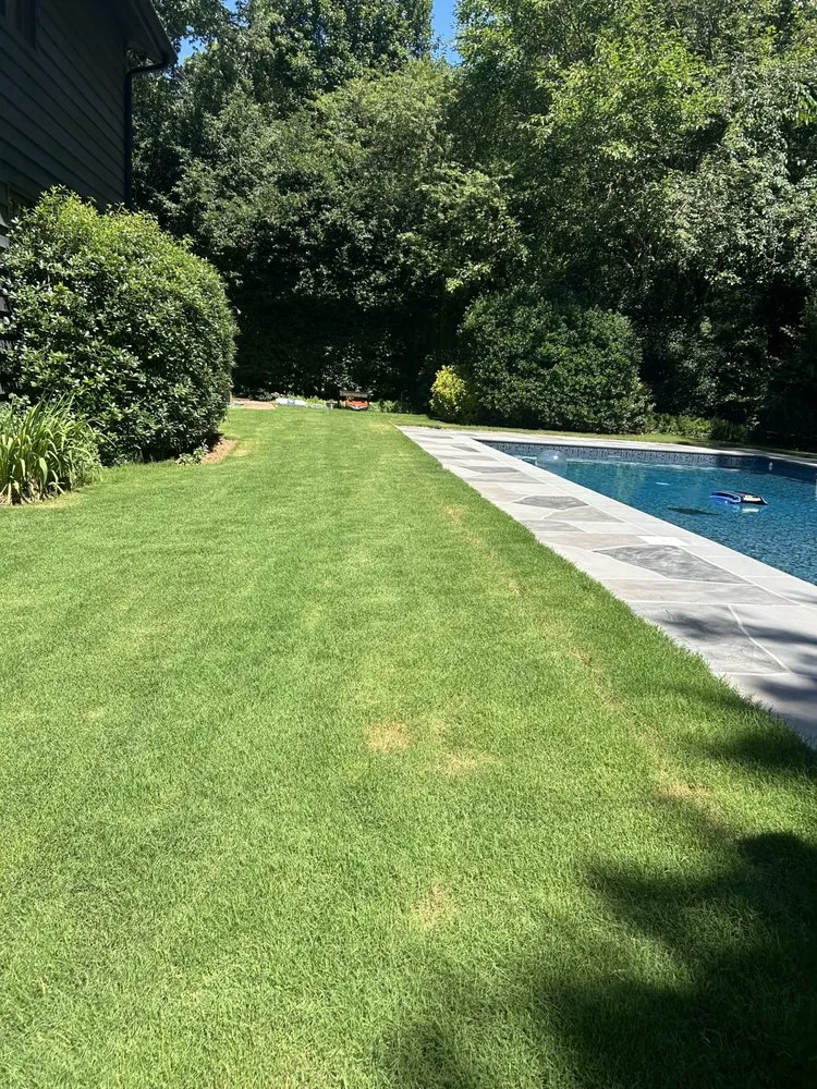 Local landscaping services in Lawrenceville, GA - Dutch Lawn Care