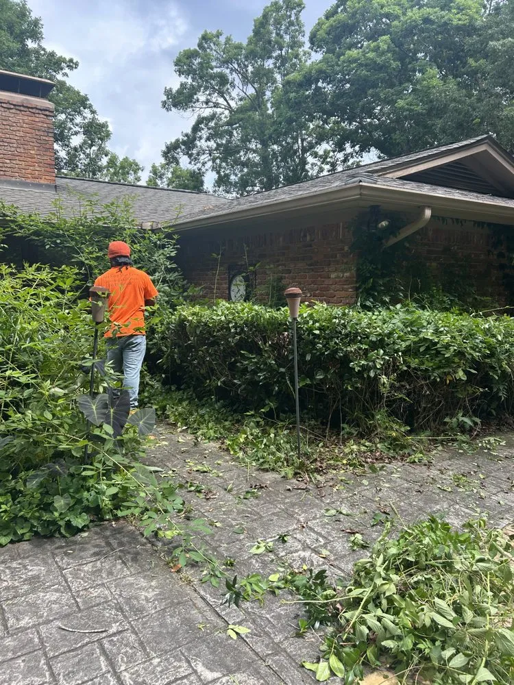 Professional yard maintenance for beautiful yards in Lawrenceville, GA by Dutch Lawn Care