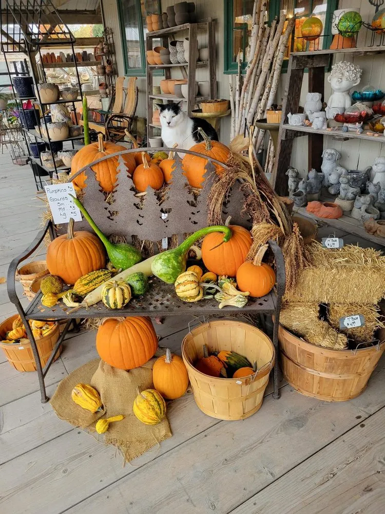 Reliable landscape installation near you across Pella, IA - Dutch Meadows Garden Center & Lanscaping