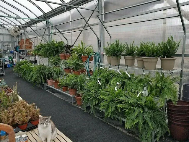 Expert landscape installation in Pella, IA by Dutch Meadows Garden Center & Lanscaping