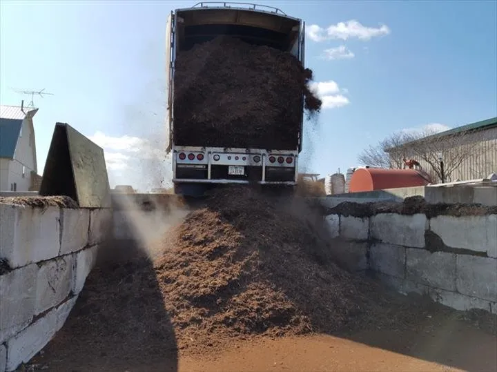 Reliable yard cleanup service experts serving Pella, IA - Dutch Meadows Garden Center & Lanscaping