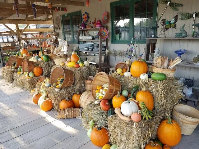 Local lawn mowing service in Pella, IA - Dutch Meadows Garden Center & Lanscaping