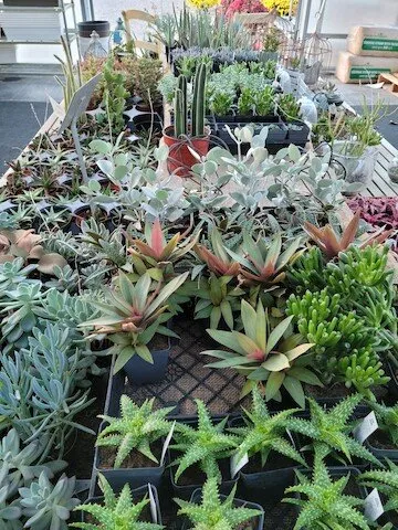 Expert landscape design in Pella, IA by Dutch Meadows Garden Center & Lanscaping