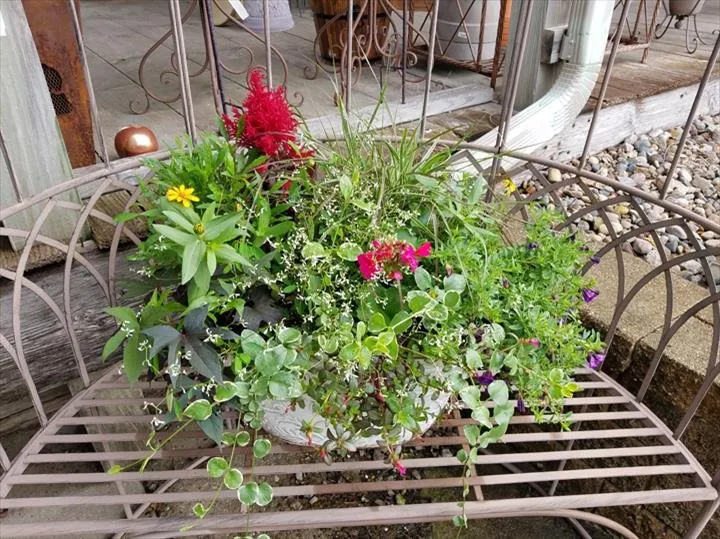 Trusted yard cleanup service for outdoor upgrades in Pella, IA by Dutch Meadows Garden Center & Lanscaping