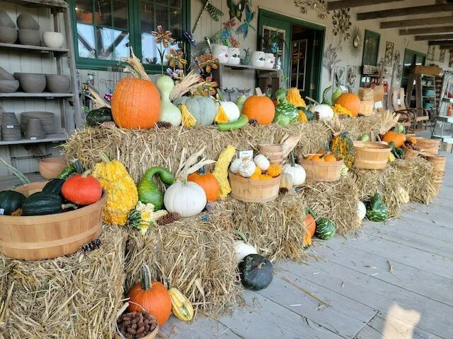 Top-rated lawn care service for homes across Pella, IA - Dutch Meadows Garden Center & Lanscaping