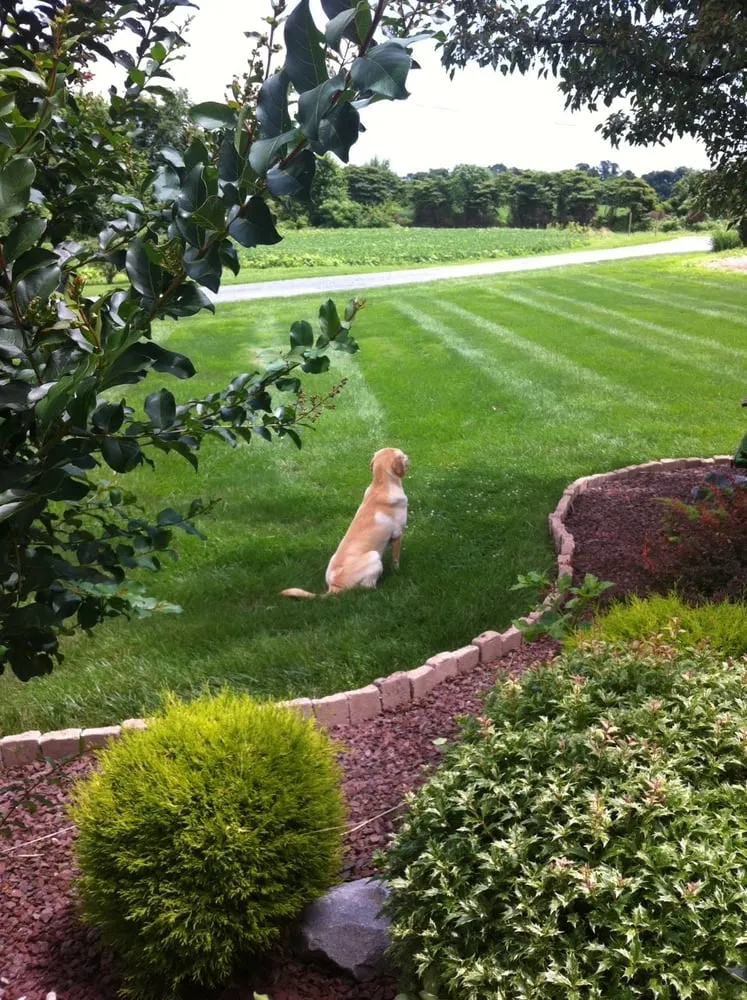 Custom yard maintenance near you in Middletown, DE by Dutch Neck Lawn and Landscape