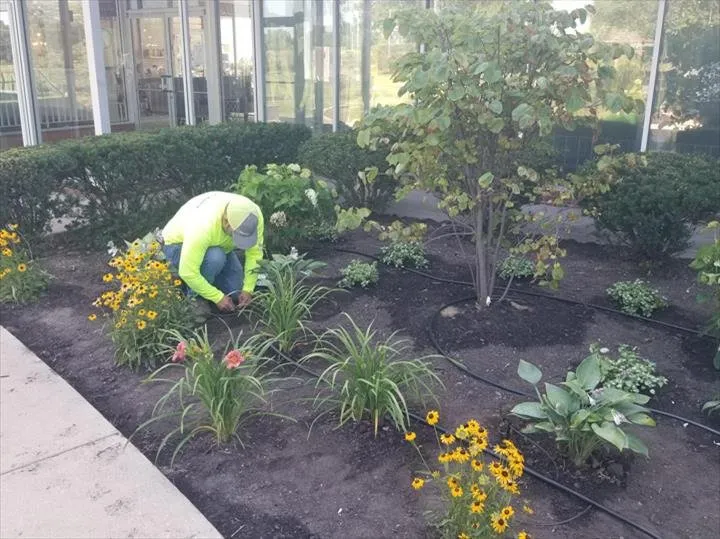 Top-rated residential landscaping experts serving Chicago Heights, IL - Dutch Valley Landscape Contractors