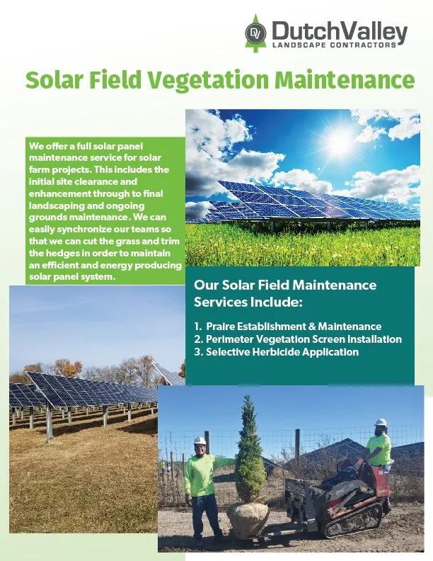 Expert yard maintenance for residential properties across Chicago Heights, IL - Dutch Valley Landscape Contractors