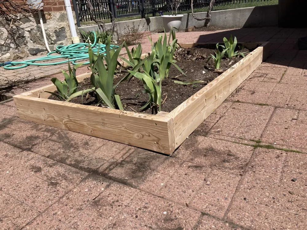 Local lawn care service experts serving Woods Cross, UT - Dutchboy Landscaping