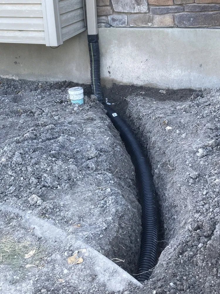 Trusted yard cleanup service in Woods Cross, UT by Dutchboy Landscaping