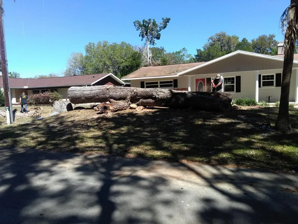 Top-rated landscape installation in Crystal River, FL by Dutcher's Lawn & Tree Service