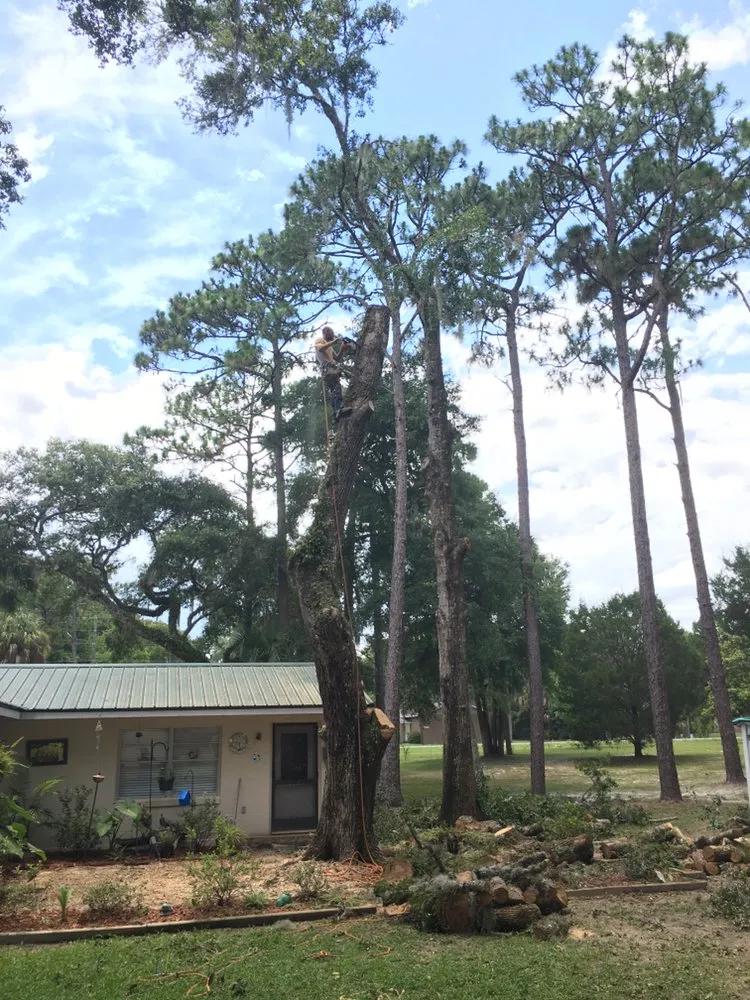 Top-rated landscape installation in Crystal River, FL - Dutcher's Lawn & Tree Service