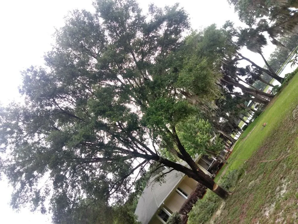 Affordable landscaping services in Crystal River, FL by Dutcher's Lawn & Tree Service