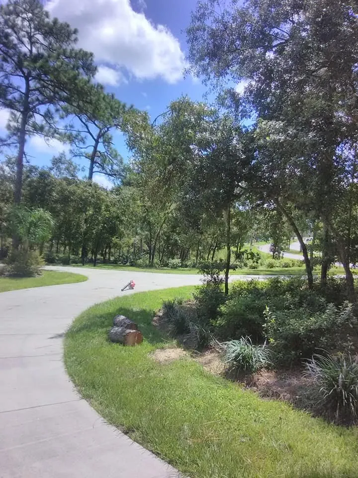 Trusted lawn mowing service for outdoor upgrades in Crystal River, FL by Dutcher's Lawn & Tree Service