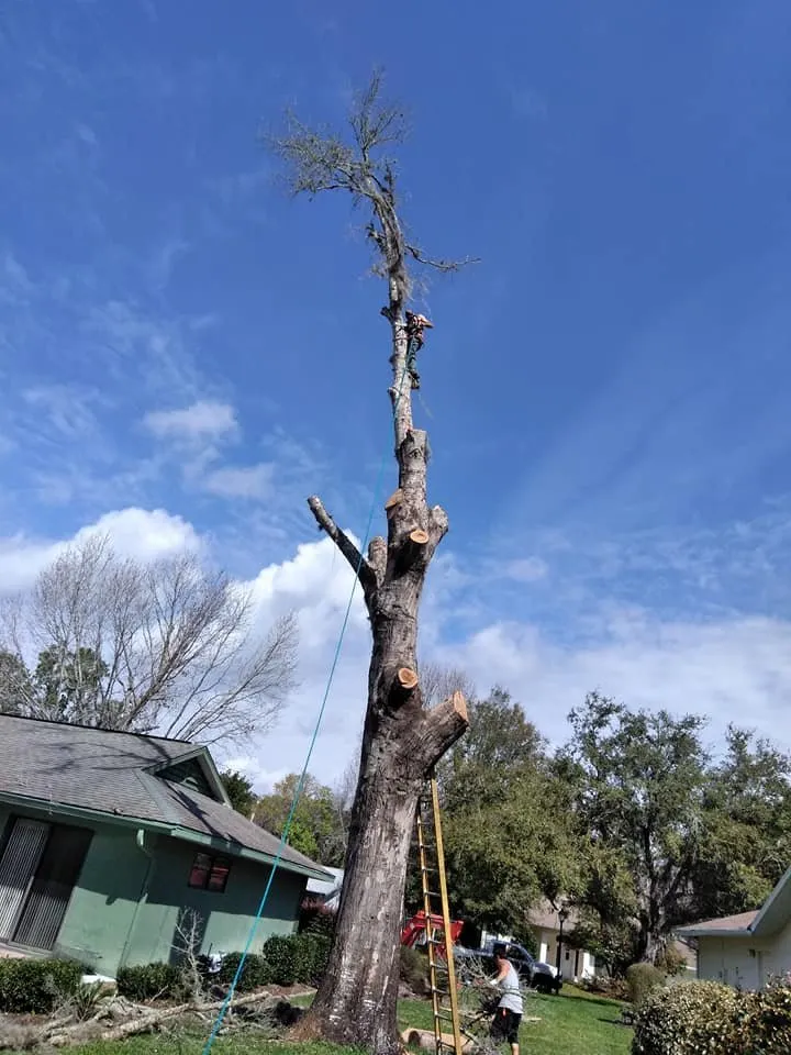 Expert landscape design for homes in Crystal River, FL by Dutcher's Lawn & Tree Service