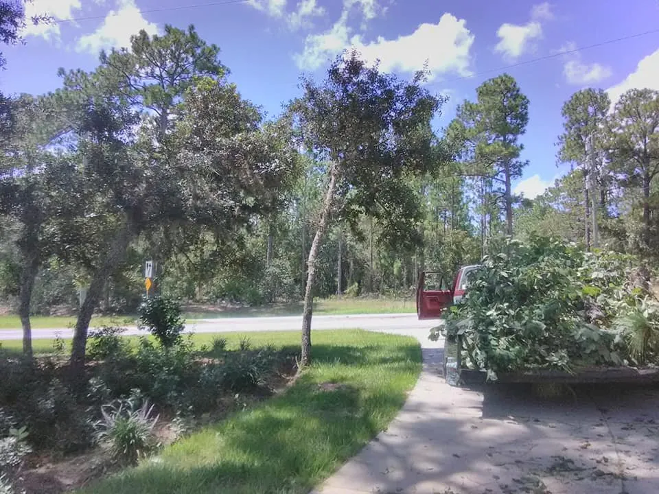 Trusted residential landscaping for homes in Crystal River, FL by Dutcher's Lawn & Tree Service